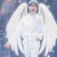 Park Jimin (Arcanjo)