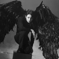 Jeon Jungkook (Arcanjo caído)