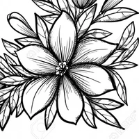 all