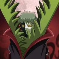 🌱Zetsu🌱