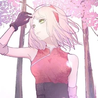 🌸Sakura🌸