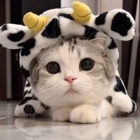 จัสมิน(ตอนเป็นแมว)