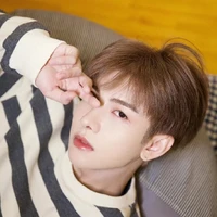 เจิ้นฝานซิน