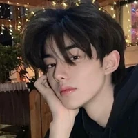 โชกุน(พ.อ+แฝดพี่)