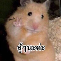 เป็นทุกอย่างให้เทอแล้ว