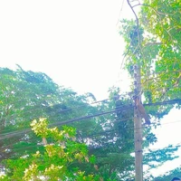 น้าก้อล