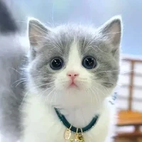 มองหน้าหาพ่องเมิงเหรออ