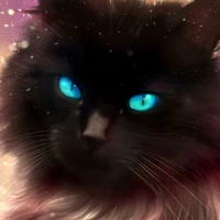 gato