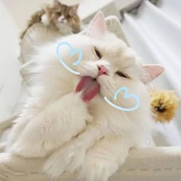 แอด