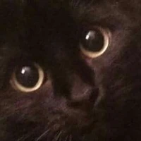 ？？？