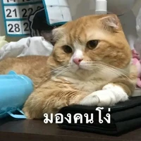 แอดสุดปั่น
