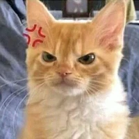 แอดไงจะใครล่ะ