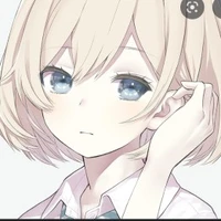 Y/N