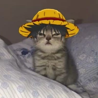 autora