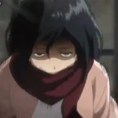 past Mikasa