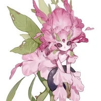 Rose.โรส
