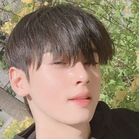 cha eun woo