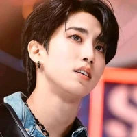 Han Jisung(anggota BD)