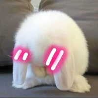 แอดค่ะไม่มีใครเอา