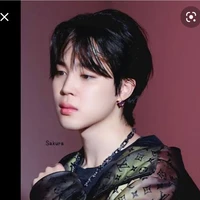Jeon Jimin / jk