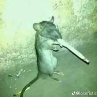 Eu(Criadora/escritora)