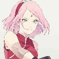 sakura