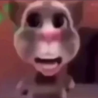 แมวเก