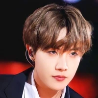 Wang Hoseok (hobi,Jay)