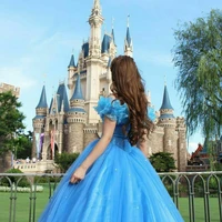 Silly Author😜 hehe