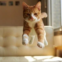 Orange / Artificial Cat