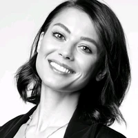 Palvin De