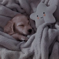 ☁︎𝐹𝑙𝑜𝑞𝑢𝑖𝑛ℎ𝑜☁︎