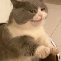 แอด