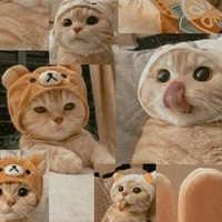 แอด