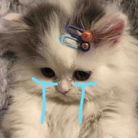 Mochi