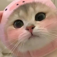 แอด