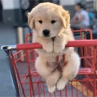 bubly