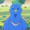 Popo