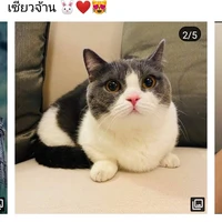 เป็นทุกอย่างให้เธอแล้ว
