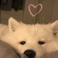 เเอดเอง