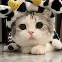เวร์(น.อ+ร่างแมว)
