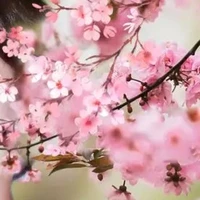Unknown~2