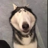 แอดสุดสวย👁️👄👁️💅✨