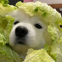 แอดมินเองนับ