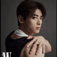 Cha Eun-woo(*V