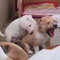 แอดเอง❤️