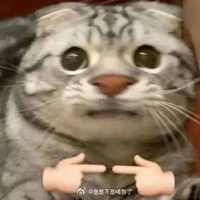 หนูเป็นไรท์เเทนพี่ชายค่พ