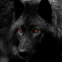 Sharingan
