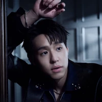 หยางเคอร์ลี่