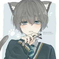 นิส